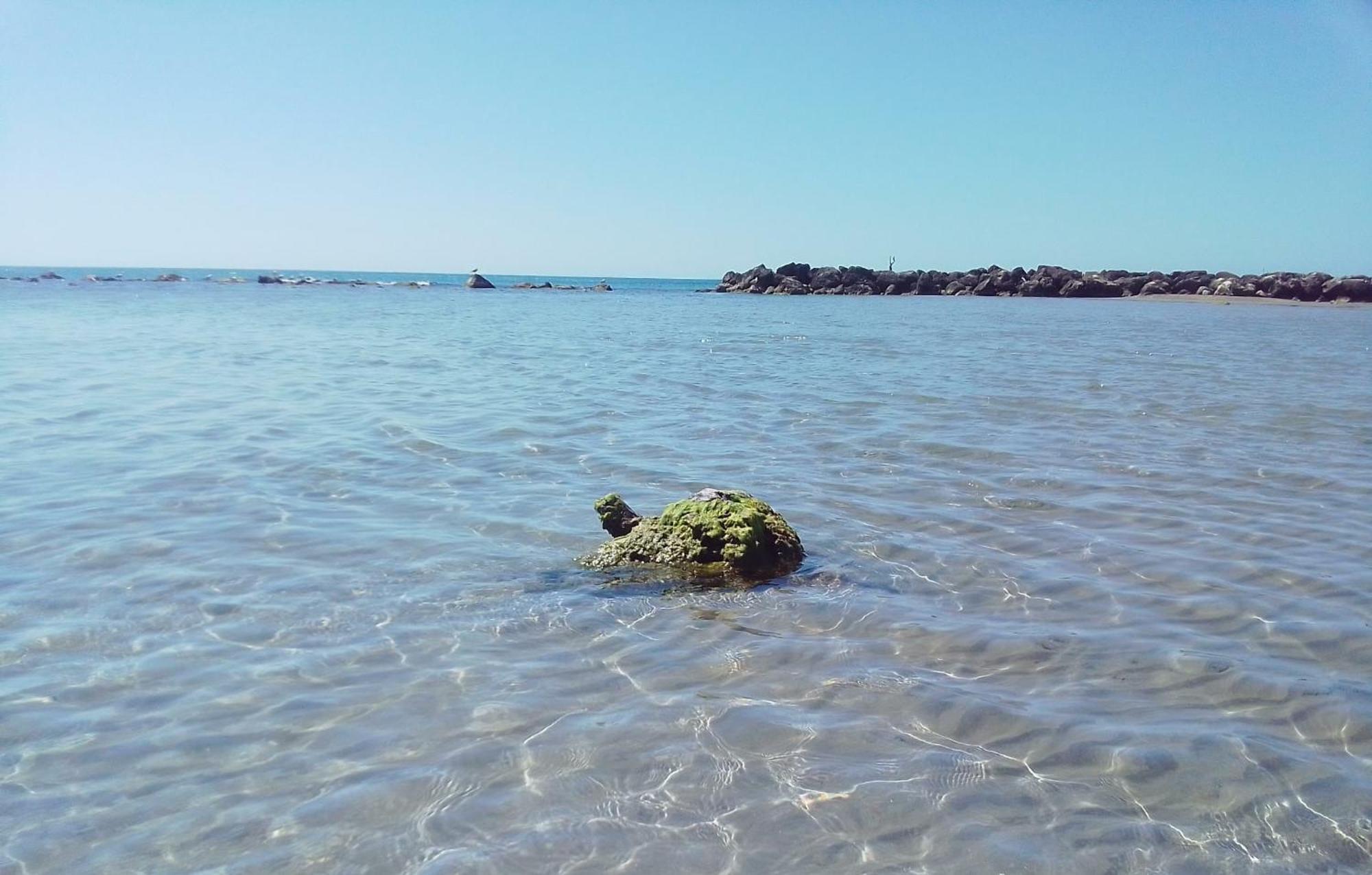 Apartment A'mari - - - 100mt Dalla Foggia - 100 Meters From The Sciacca